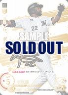 ※秋葉原店併用商品 G.ポランコ(千葉ロッテマリーンズ)(SSP) 【TBP01-M10SSP】